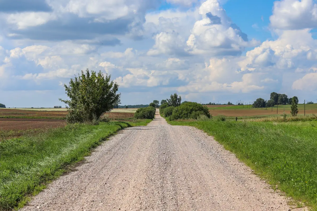 Szutrowa droga polna biegnie prosto między zaoranym polem a zielonym pasem trawy, w tle krzewy i drzewa pod chmurami